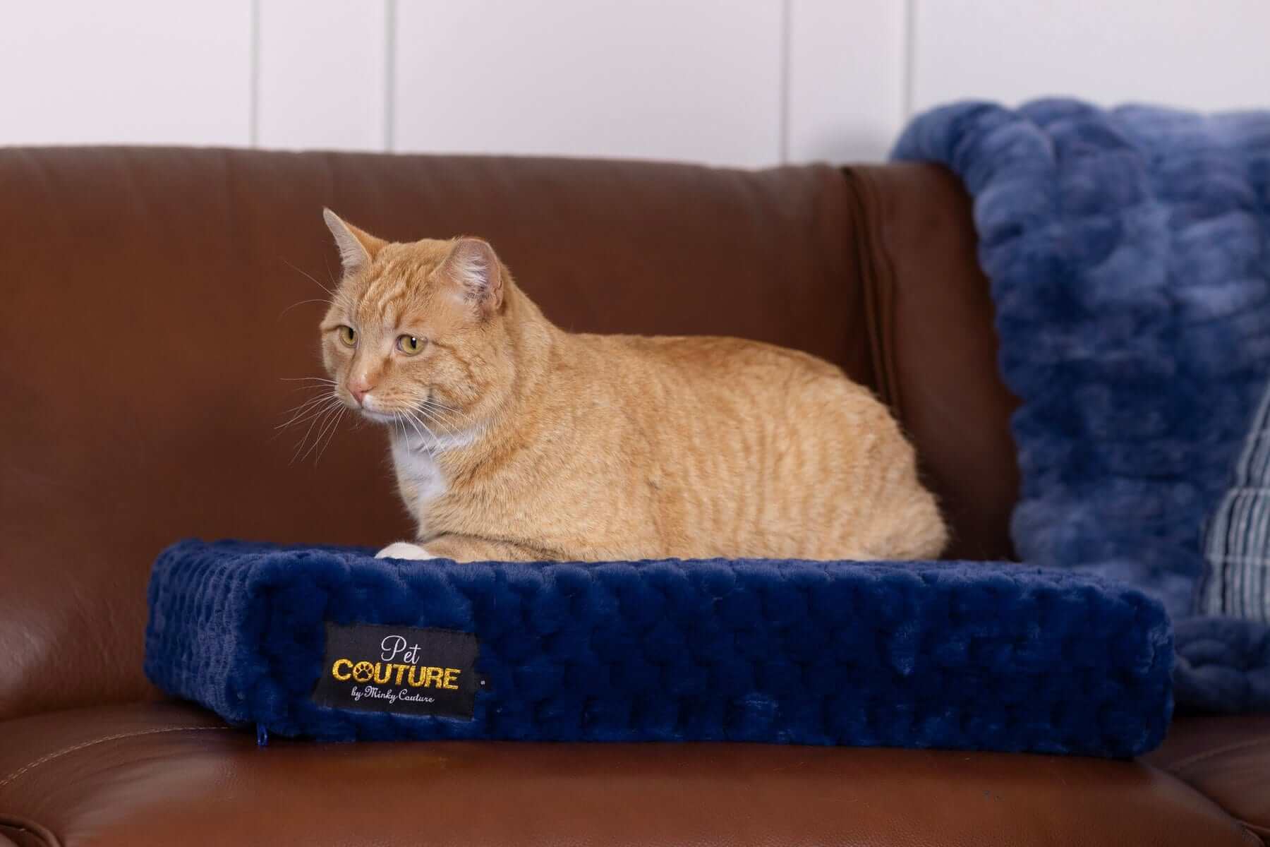 Blue Honeycomb Pet Crate Pad - Image 3